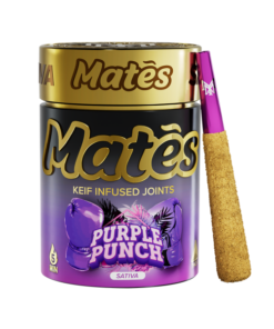 Purple Punch THC-A Mates Pre-Rolls